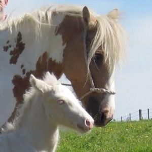 Meet your Posher, Chrystal